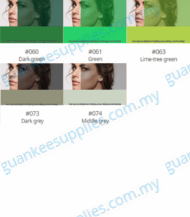 Oracal 8300 Transparent Film - Image 3